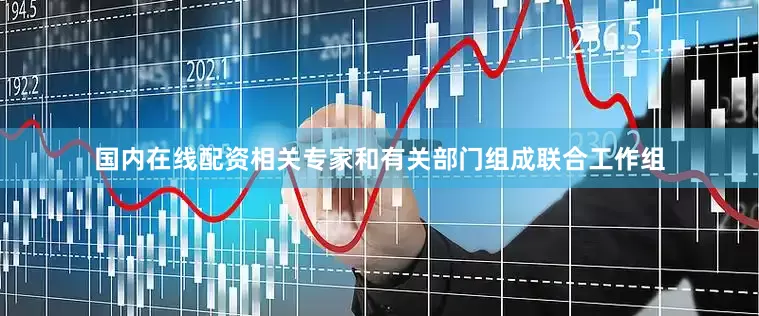 国内在线配资相关专家和有关部门组成联合工作组