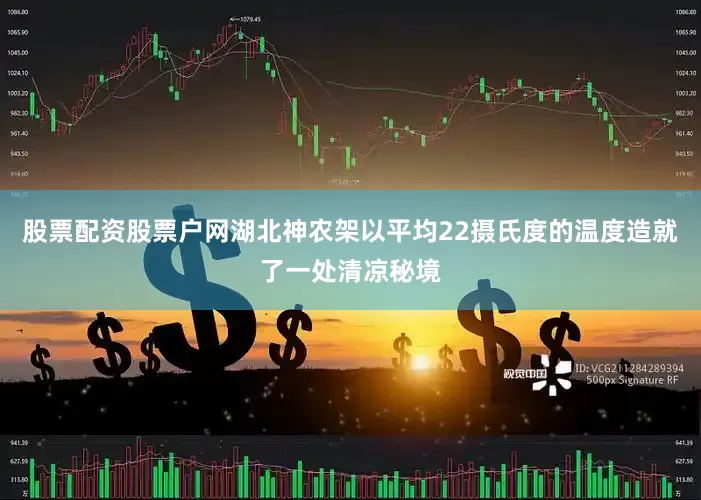 股票配资股票户网湖北神农架以平均22摄氏度的温度造就了一处清凉秘境