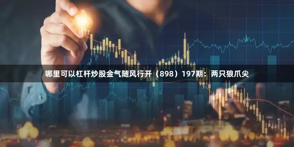 哪里可以杠杆炒股金气随风行开（898）　　197期：两只狼爪尖