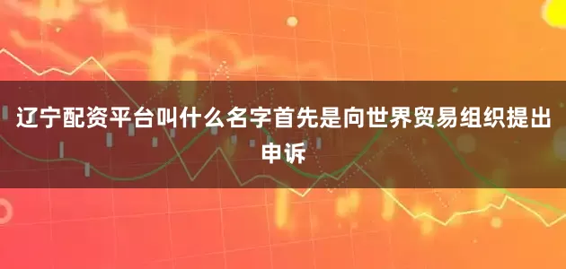 辽宁配资平台叫什么名字首先是向世界贸易组织提出申诉